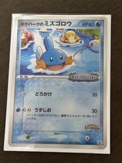 ポケパークのミズゴロウ プロモ 048/PCG-P ポケモンカード - メルカリ