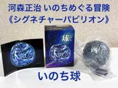 m66526070527_1.jpg?1756216454