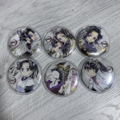 鬼滅の刃 幕間画 缶バッジ 胡蝶しのぶ カナエ 栗花落カナヲ アオイ