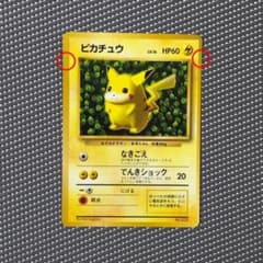 m67398072377_1.jpg?1589816612