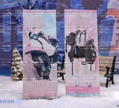 公式 中国限定」ブルーアーカイブ ホシノ 落雪の約束 レーザーチケット