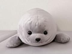 m68343924170_1.jpg?1708833888