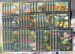 緑単キャベッジ 緑単グランセクト - メルカリ