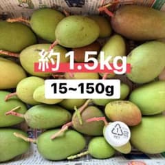摘果マンゴー・グリーンマンゴー【約1.5kg(15~150g)】 - メルカリ