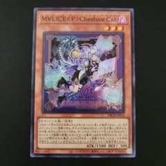 m69365332465_1.jpg?1724564244