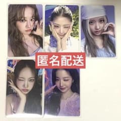 m69449069661_1.jpg?1756547076