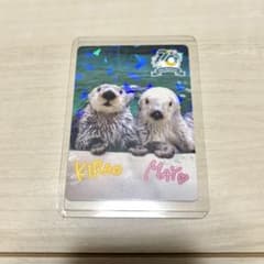 m69530287652_1.jpg?1755093172