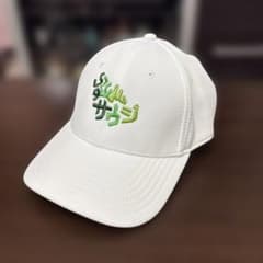 m69658859131_1.jpg?1755170220