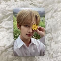 m69956291663_1.jpg?1713950949