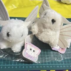 m61272724205_1.jpg?1766243649