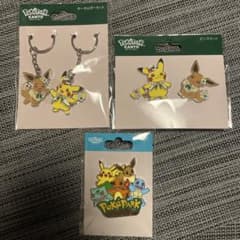 ポケパーク カントー 限定 ピンズ ピンズセット キーホルダーセット