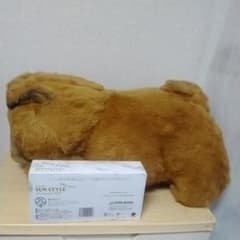 m62718822659_1.jpg?1708846571