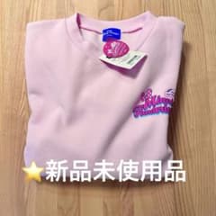 ミニーのファンダーランド トレーナー パルパルーザ - メルカリ