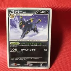 10月9日限定価格セール ブラッキーLv.43 - メルカリ