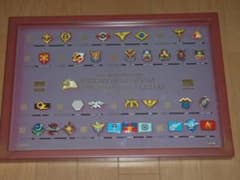 機動戦士ガンダム 30周年 エンブレムピンズコレクション ピンバッジ