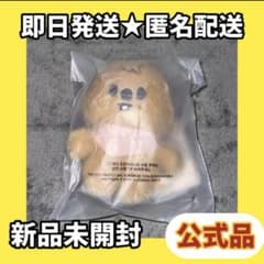 skzoo Stray Kids 10cm ぬいぐるみ ハンクオッカ ハン - メルカリ