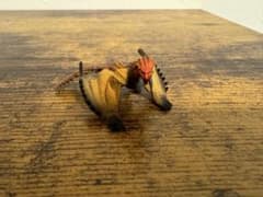 グレートアニマルカイザー 究極レア 植物アルゴル | Shop at Mercari