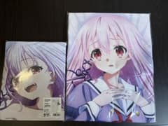 m75951943336_1.jpg?1727253649