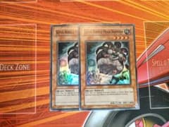 素早いビッグハムスター スーパー 英語 EU - メルカリ