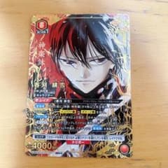 m76519988691_1.jpg?1766124488