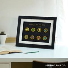 受注生産】ポケモン バッジコレクション チャンピオンロードセット