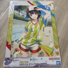セット売り、バラ売りどちらでも⭕️ ホロライブ ビジュアルボード