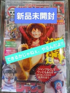 ONE PIECE magazine 20号【新品未開封付録付き】プロモ付録 - メルカリ