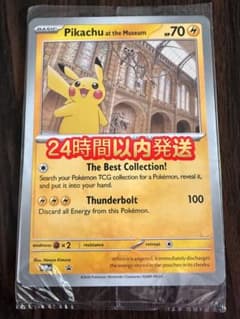 Pikachu at the Museum ピカチュウ ロンドン自然史博物館 - メルカリ