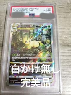 m77858880697_1.jpg?1735407123