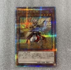 m78252301607_1.jpg?1729433909