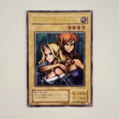 遊戯王カード ヂェミナイエルフ レリーフ アルティメットレア - メルカリ