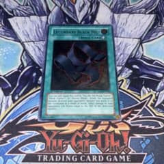 北米版 伝説の黒帯 1st レリーフ 深掘り個体 遊戯王 海外 英語 米