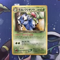 m78677205483_1.jpg?1727079030