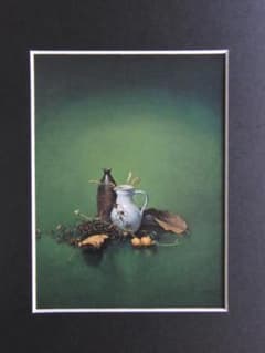 m79034186713_1.jpg?1700535597