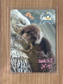 m79090749036_1.jpg?1751921498