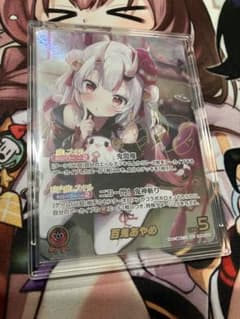 m79404378839_1.jpg?1766216001