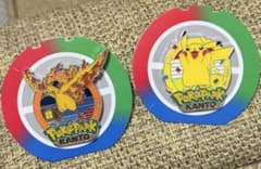 ポケパークカントー ピカチュウ ファイヤー セット ピンズ ポケモン