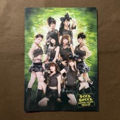 モーニング娘 ライバルサバイバル パンフレット 光井愛佳 高橋愛 道重