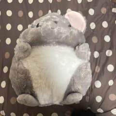 まるもふチンチライブ BIG ふわりん - メルカリ