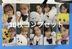 m72651333829_1.jpg?1730476268