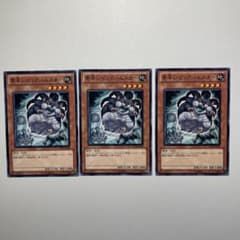 遊戯王 素早いビッグハムスター 3枚 - メルカリ