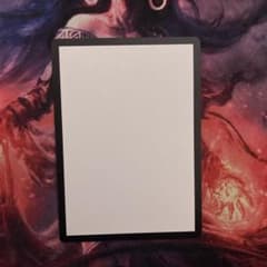 m72967972627_1.jpg?1737206949