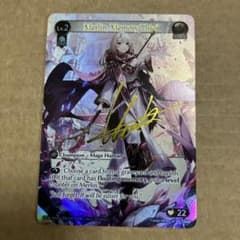 m72993772667_1.jpg?1732606153