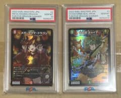 連番 神アート PSA10 メガ・マグマ・ドラゴン 地封龍 ギャイア