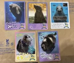 鳥羽水族館 コレクションカード キラちゃん - メルカリ