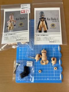 メガミデバイス レジンキット 鯉印 koi body L スキンカラーA,D - メルカリ