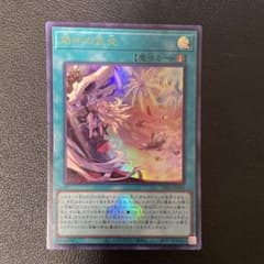 m86182570625_1.jpg?1761292272