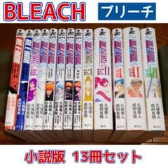 小説版 13冊セット】BLEACH ブリーチ 久保帯人 松原真琴 成田良悟