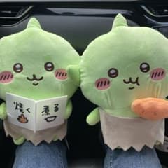 m88193512427_1.jpg?1756527718