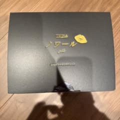 ハク様専用】勝利の女神ニケ ノワール ガレージキット ふぉるとね